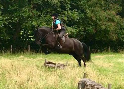 Fell pony gelding Rackwood Hugo, jumping cross country fence